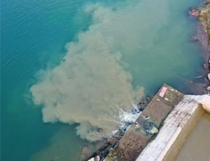 生態環境部：依法嚴懲排污單位自動監測數據弄虛作假犯罪