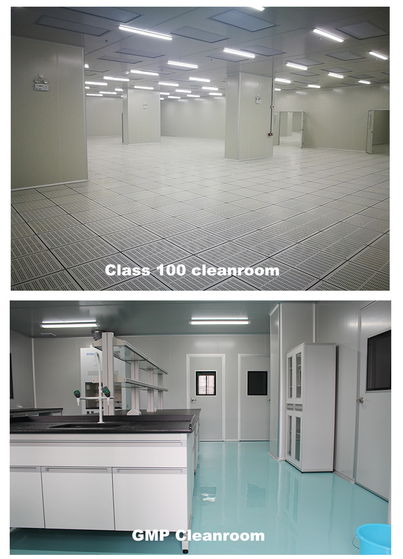 澳升英文_06 澳升英文_06