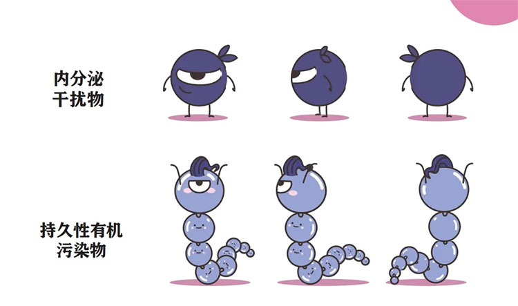 內(nèi)分泌干擾物和持久性有機污染物