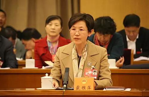 聚焦兩會:全國人大代表戴雅萍建議新風系統進校園