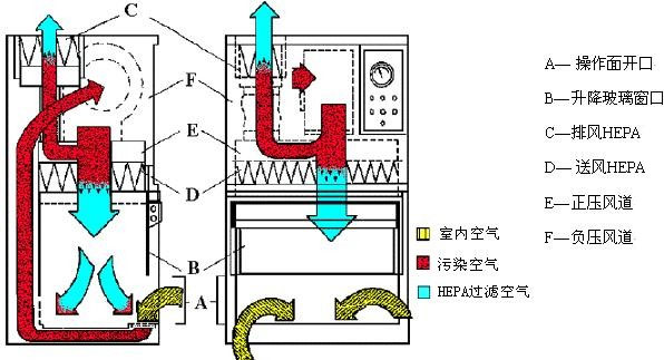 Ⅱ級(jí)A2型生物安全柜工作原理示意圖
