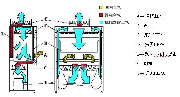 Ⅱ級(jí)B1型安全柜工作原理示意圖